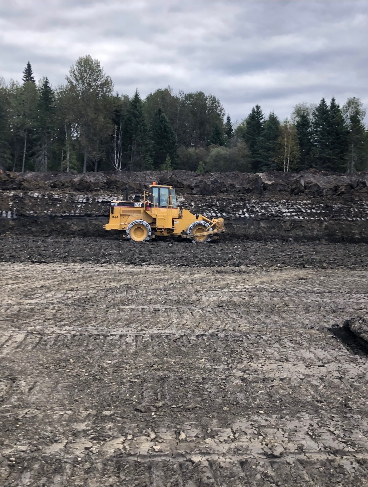 CAT compactor in forested excavation site